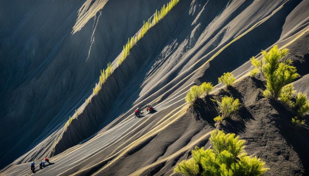 Controlling weeds Mount Bromo