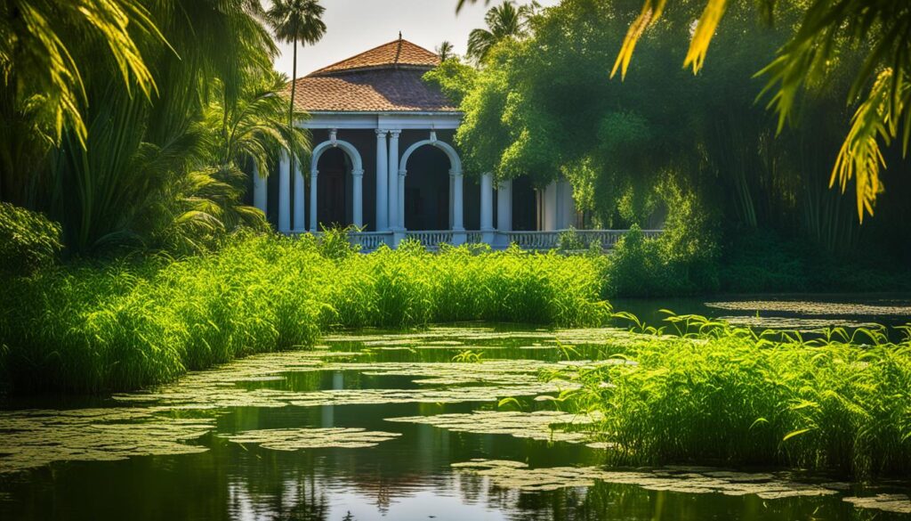 weed in Pondicherry