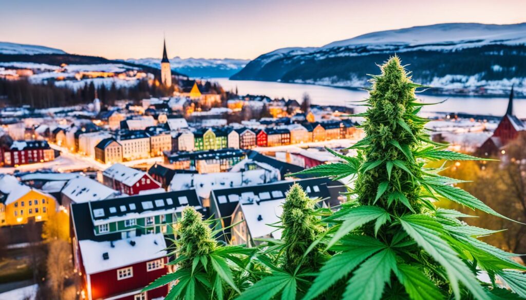 weed in Trondheim